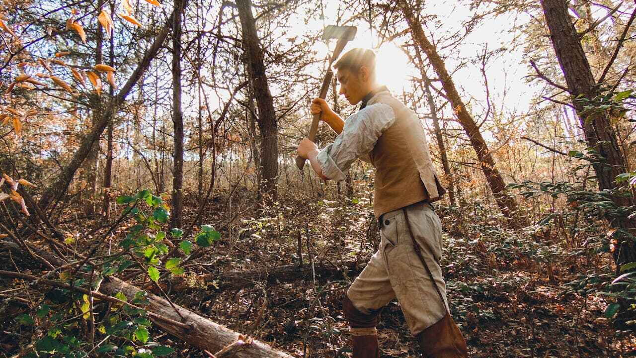 Best Tree Trimming Near Me  in Whiteman Af, MO